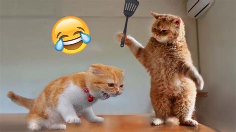 Funny video .
